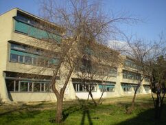 Urbipedia:Escuela Heinrich Pestalozzi, Skopje, Macedonia (1966-1969)