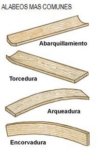 Urbipedia:Torcedura