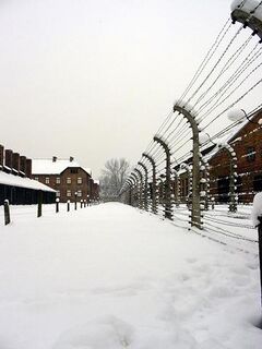 Auschwitz, alambradas