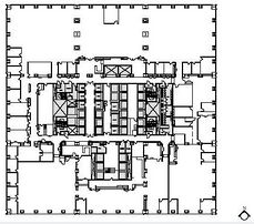 Planta 41