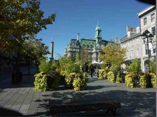 Urbipedia:La Plaza Jacques-Cartier