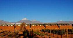 Hotel tierra atacama+4.jpg