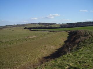 Urbipedia:Bokerley Dyke