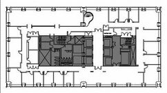 Planta 95